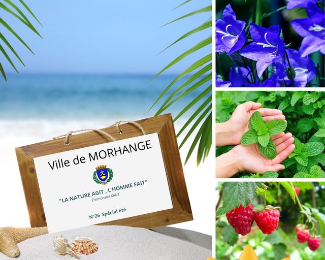 La nature agit, l'homme fait :  Spécial été ! 
